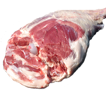 úó